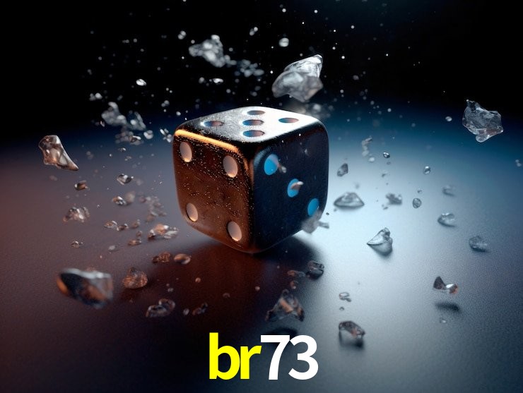 br73